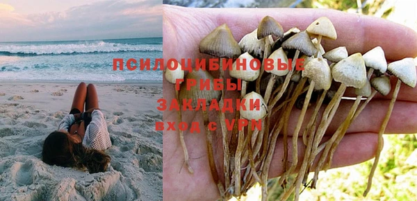мяу мяу мука Алзамай
