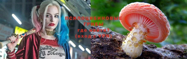 амф Алексеевка
