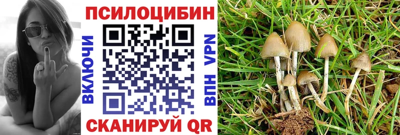 Псилоцибиновые грибы GOLDEN TEACHER Балашов